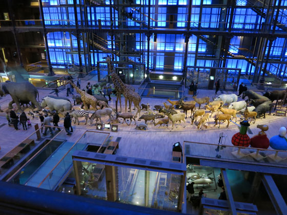 f0176688_1124949.jpg