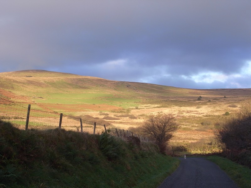 b0110999_1243737.jpg