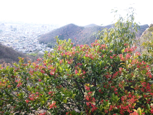 d0170615_8582840.jpg