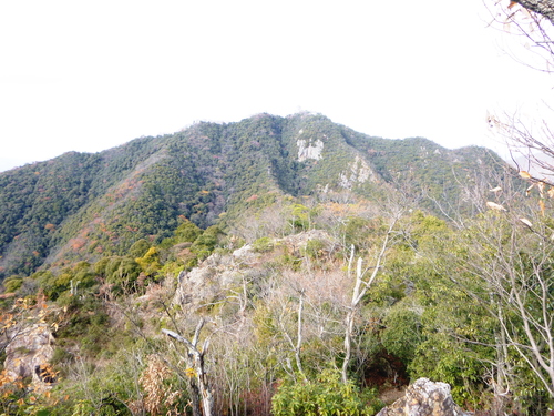 d0170615_858927.jpg