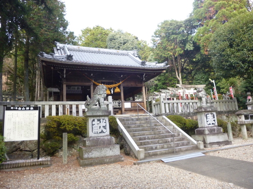 d0170615_8595874.jpg