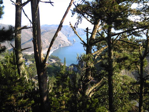 b0285619_200891.jpg