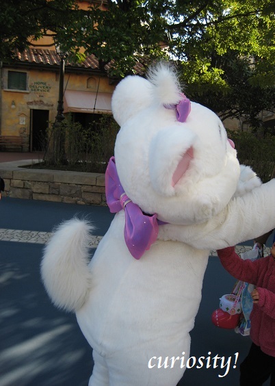a0078020_23243034.jpg