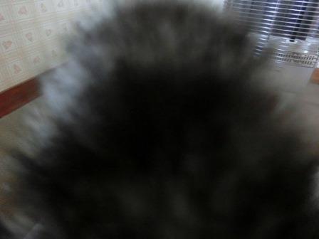 b0224728_12322182.jpg