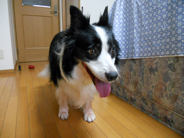 d0059230_1653860.jpg