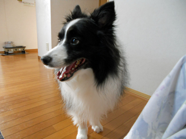 d0059230_91762.jpg