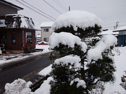 f0304030_11234494.jpg