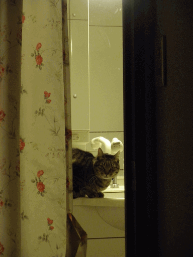 c0136736_12234916.gif