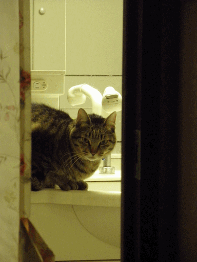 c0136736_1223567.gif