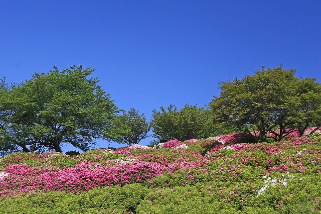 a0242438_22391863.jpg