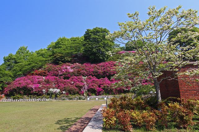 a0242438_22395741.jpg