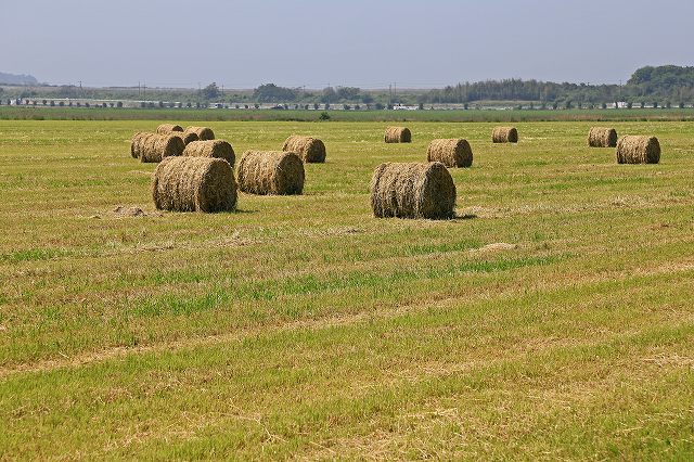 a0242438_22405995.jpg