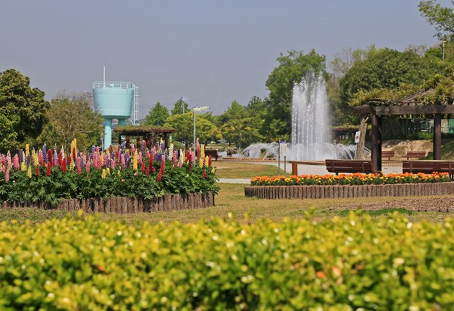 a0242438_22411339.jpg
