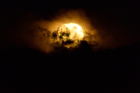 c0314839_04400715.jpg