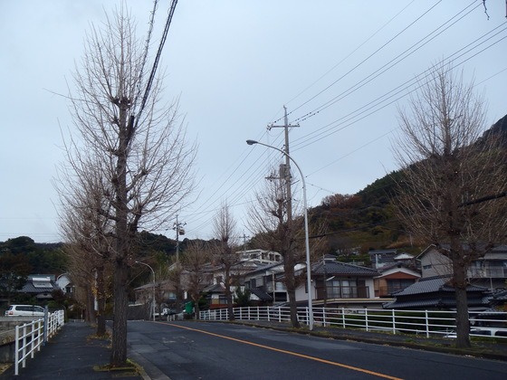 a0054240_0375357.jpg