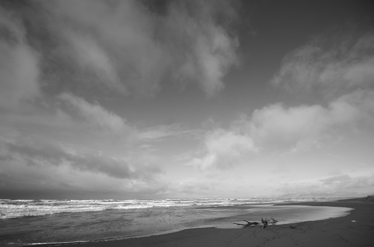 d0165741_17252326.jpg