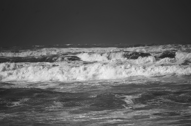 d0165741_1725367.jpg