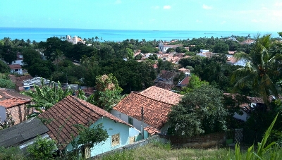 a0156453_21101694.jpg