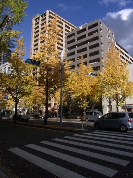 e0153367_16173636.jpg