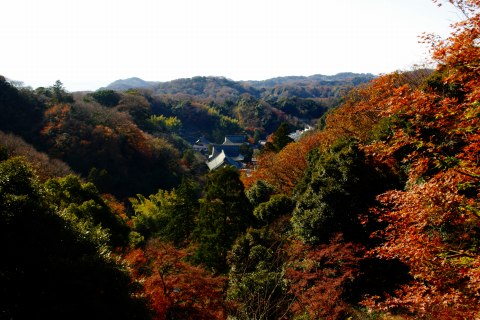 e0045768_2232692.jpg