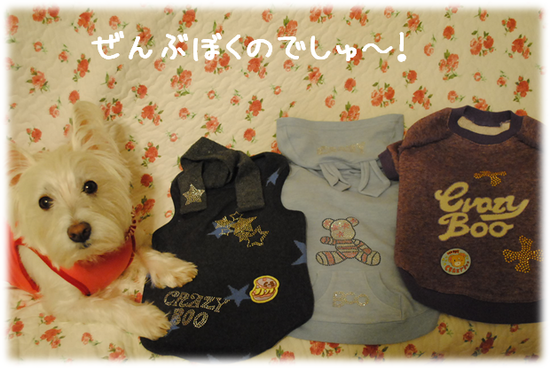 b0242873_274872.png