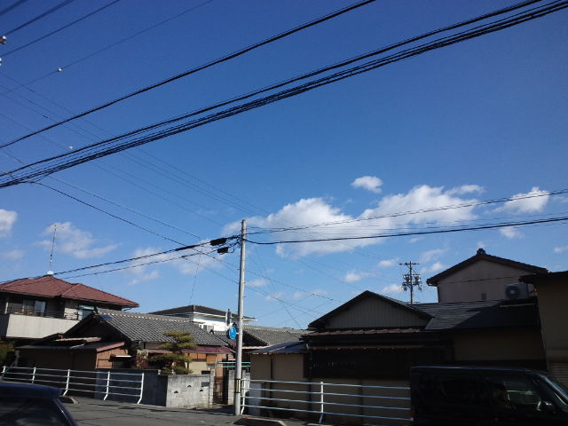 f0051283_1126581.jpg