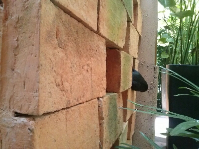 d0284785_053388.jpg