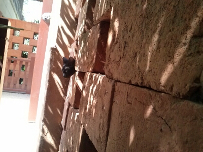 d0284785_0534958.jpg