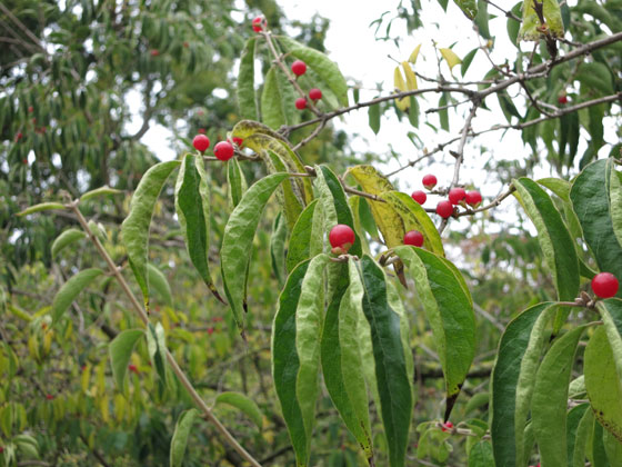 f0176688_11122234.jpg