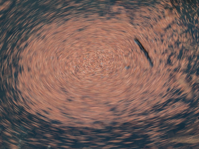 f0224100_7291448.jpg