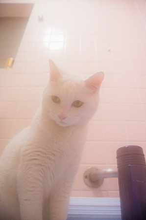 f0239100_0253026.jpg