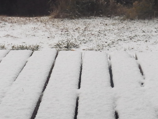 c0238603_8221496.jpg