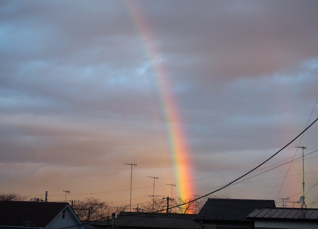 c0248013_91395.jpg