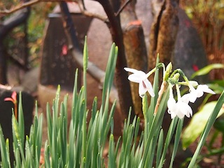 c0248013_9153913.jpg