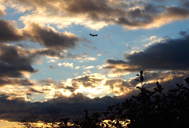 c0248013_9192613.jpg