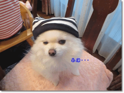 b0167519_2336363.gif