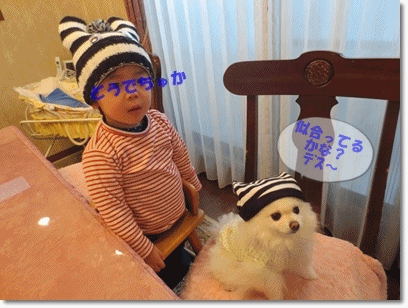 b0167519_23385451.gif