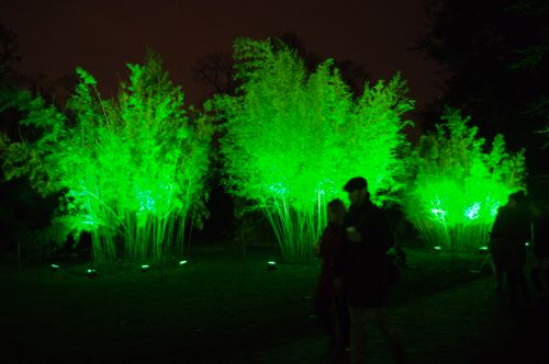 e0114020_8102586.jpg