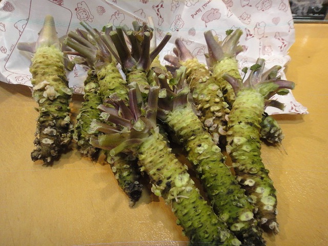 f0208737_8134892.jpg