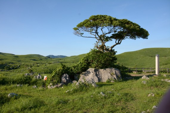 b0249247_22594028.jpg