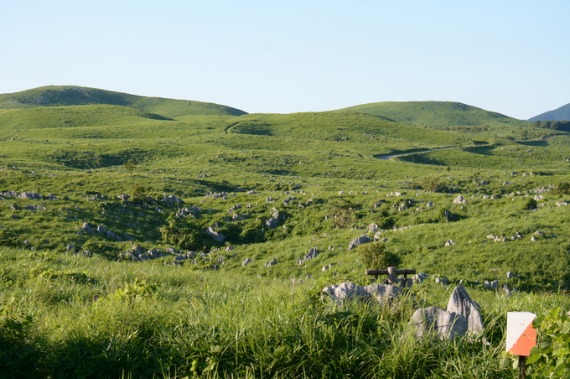 b0249247_2304686.jpg