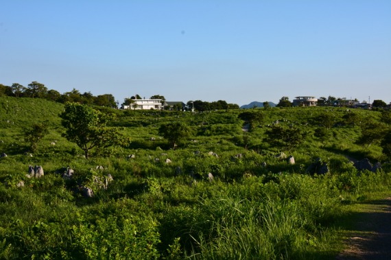 b0249247_230810.jpg