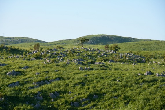 b0249247_2314968.jpg