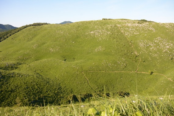b0249247_2331063.jpg