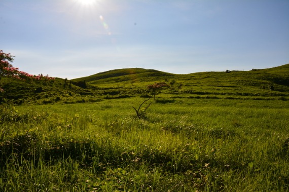 b0249247_2334688.jpg