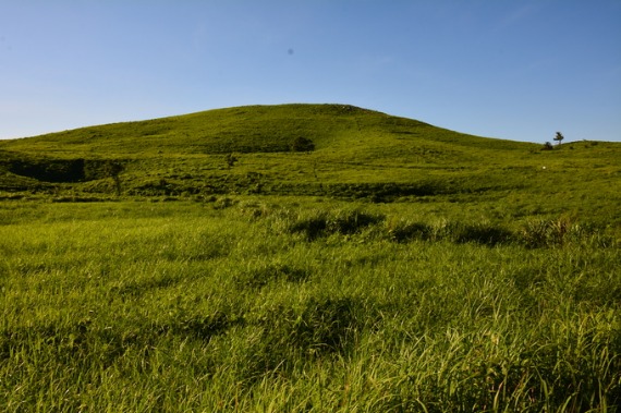 b0249247_237059.jpg