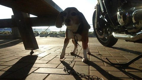 f0046250_17382092.jpg