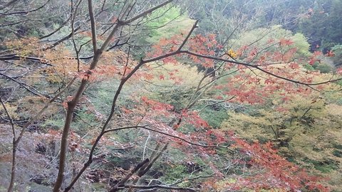 f0046250_17441411.jpg