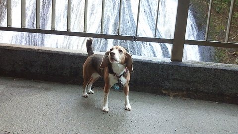 f0046250_17501075.jpg
