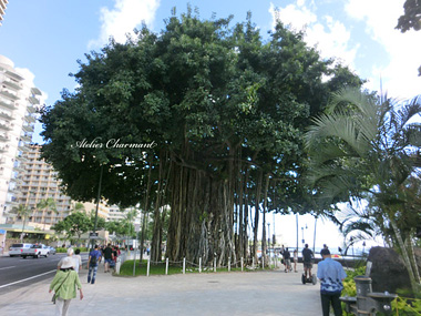 f0229759_1751653.jpg
